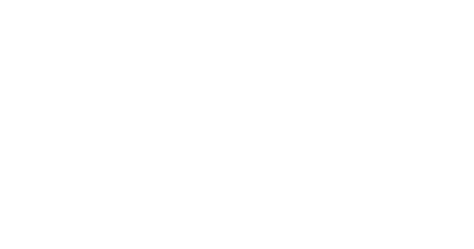 Vizivir Logo